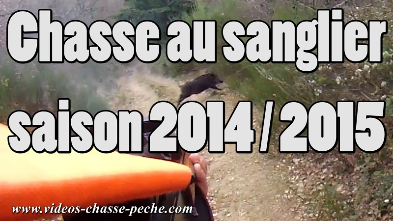 chasse sanglier saison 2014 2015